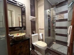 Astrid Meadows (D10), Condominium #480044111